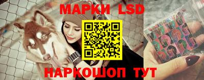 сатива Новокубанск