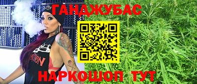 сатива Новозыбков