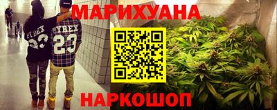 сатива Новозыбков