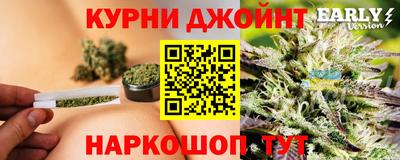 сатива Новозыбков
