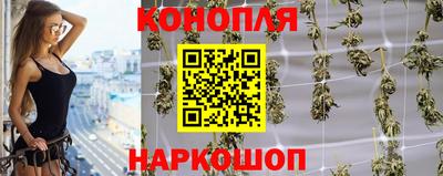 сатива Новозыбков