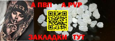 сатива Новозыбков