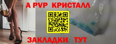 сатива Новозыбков