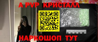сатива Новозыбков
