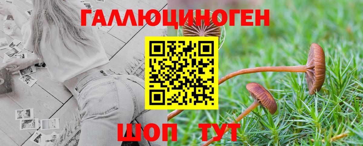 Галлюциногенные грибы GOLDEN TEACHER Ростов-на-Дону
