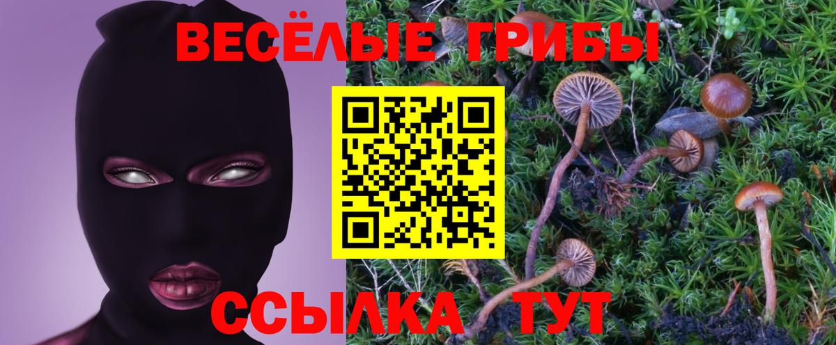 Ростов-на-Дону  Галлюциногенные грибы ЛСД  Галлюциногенные грибы Psilocybine cubensis  Вход с VPN 